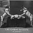 03. Les Chiens Savants de Jhanny