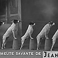 06. La Meute Savante de JEANNET
